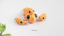 Orange Baby Shrimp fidget toys with big black eyes