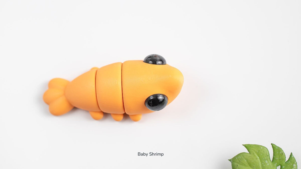 Orange Baby Shrimp, side view