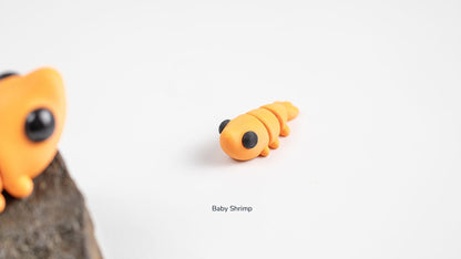 Baby Shrimp beside a dark rock