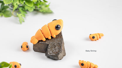 Baby Shrimp sitting on a rock with small shrimp around it