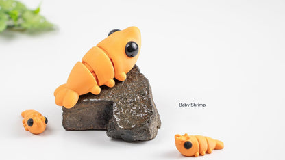 Orange Baby Shrimp on a rock
