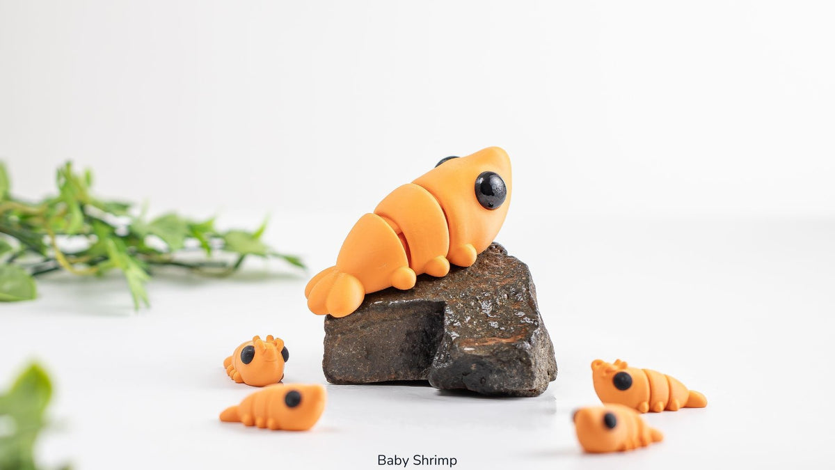 Group of orange Baby Shrimp with leaves