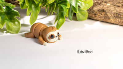 Baby Sloth