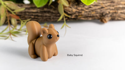 Baby Squirrel