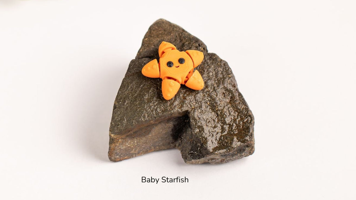 Small orange starfish toy on a rock with 'Baby Starfish' text, on a white background.