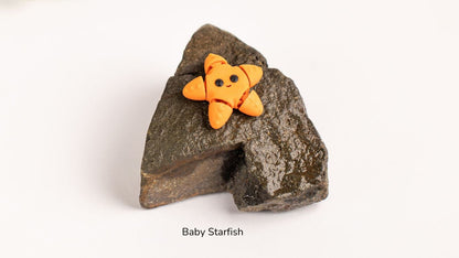 Small orange starfish toy on a rock with 'Baby Starfish' text, on a white background.