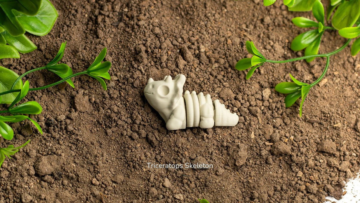 Cream Baby Triceratops Skeleton fidget toy in soil