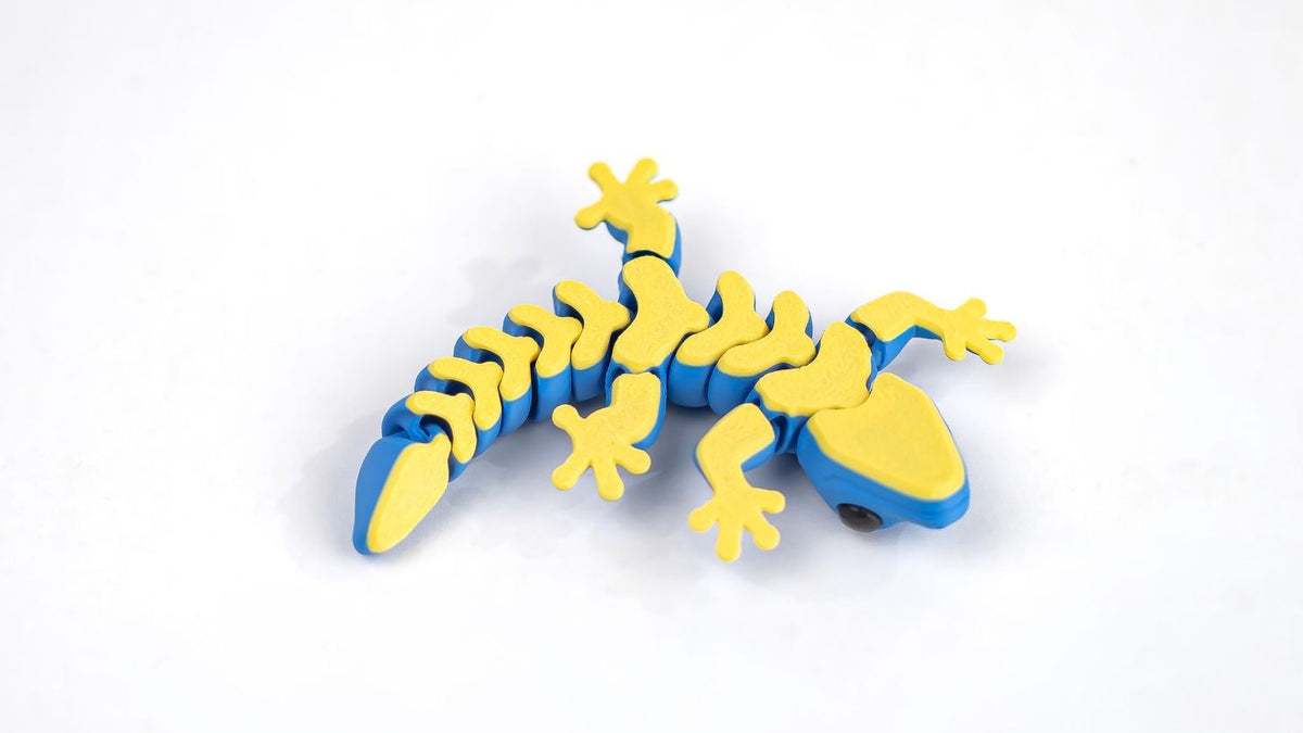 Yellow and blue striped Gecko