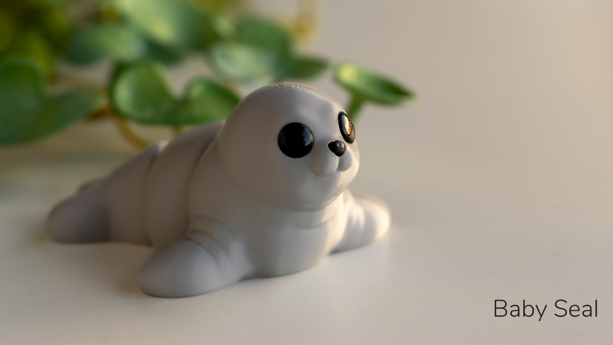 Grey Baby Seal lying down, close up