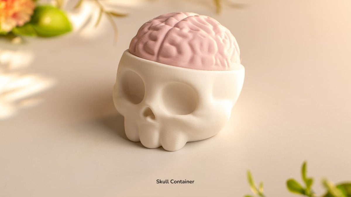 Skull Container with brain lid, front view