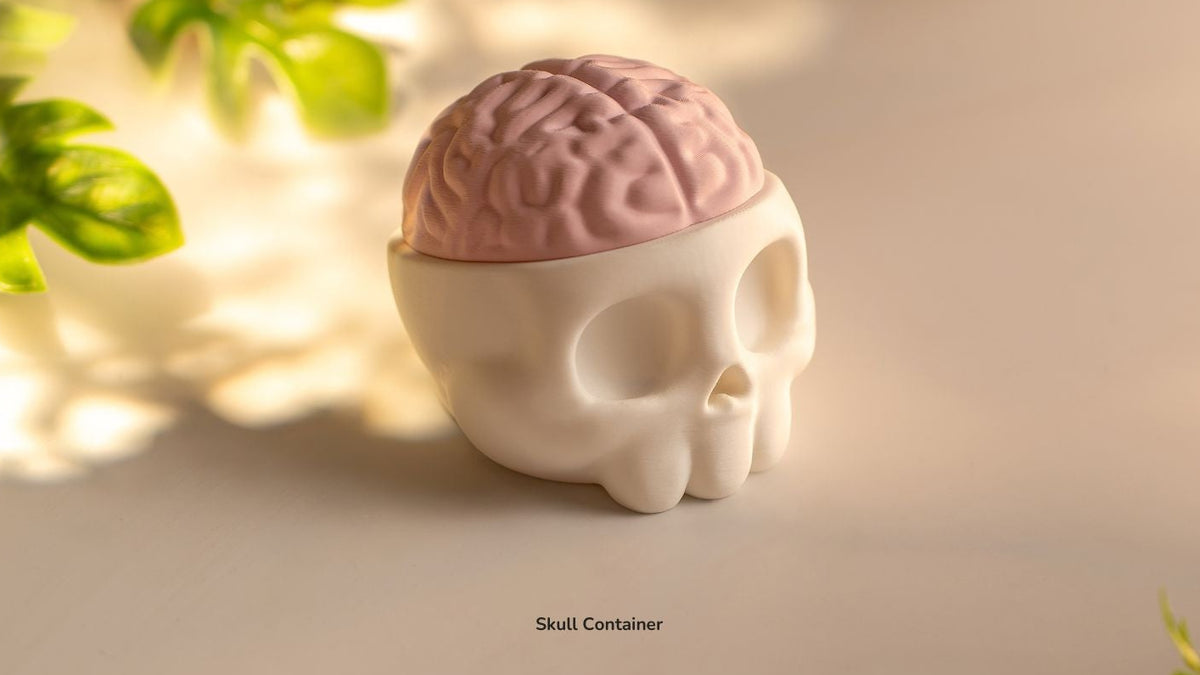 White Skull Container with pink brain lid on top
