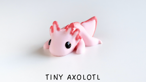 Kleiner Axolotl-Nachwuchs