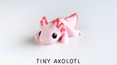 Tiny Baby Axolotl