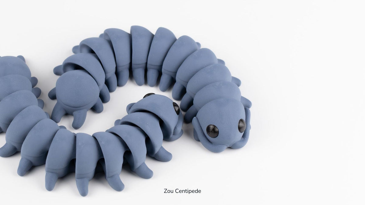 Grey Zou Centipede, medium size, with jointed body segments